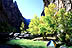 Campsite in Black Canyon 