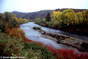 Gunnison River in the Fall
