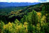 West Elk Wilderness Area