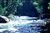 Taylor River, Gunnison National Forest